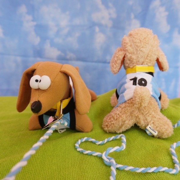 Producto - Perrito Argentina