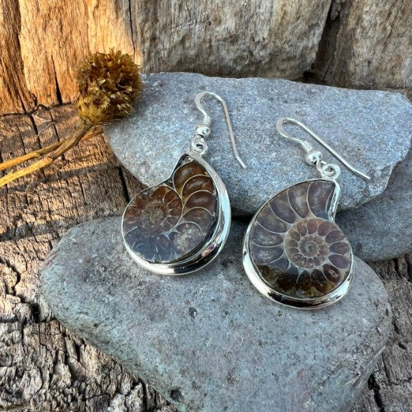 Producto - AROS AMONITE