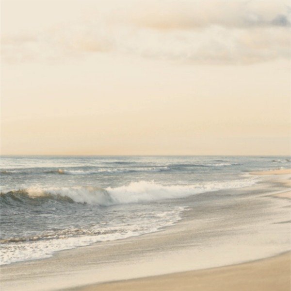 Producto - IMAGEN-224