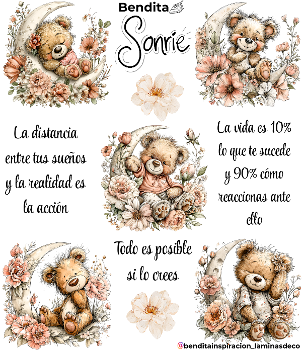 Producto - Bendita Plancha oso sentado en la luna