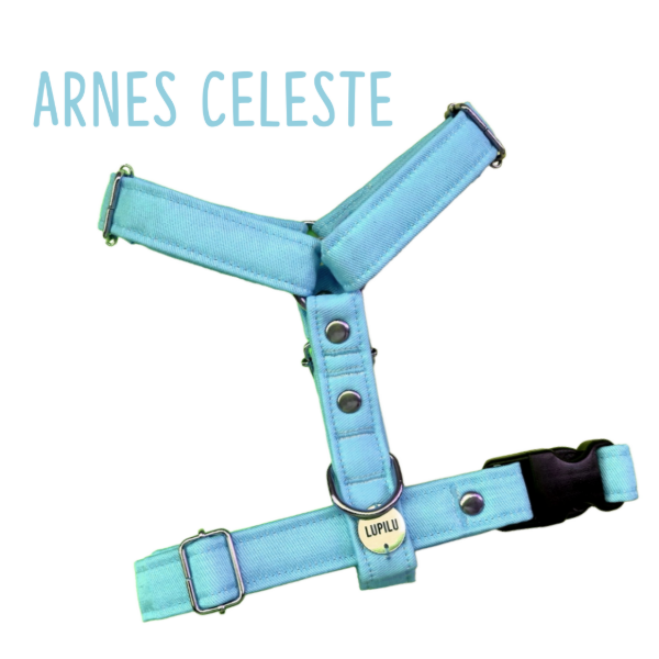 Producto - Arnes CELESTE