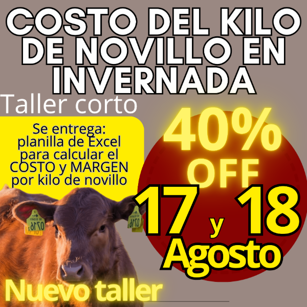 Producto - Taller corto: cálculo del costo del kilo de novillo