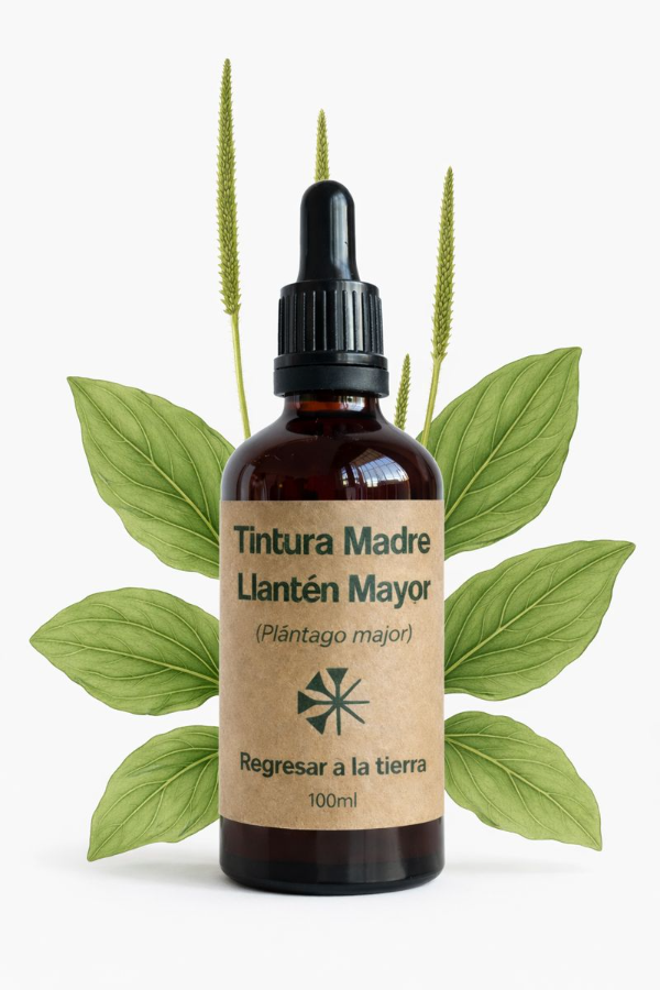 Producto - Tintura Madre de Llantén Mayor 100ml