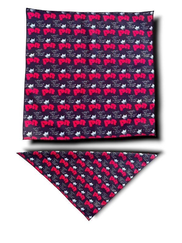Producto - PAÑUELO BANDANA PR