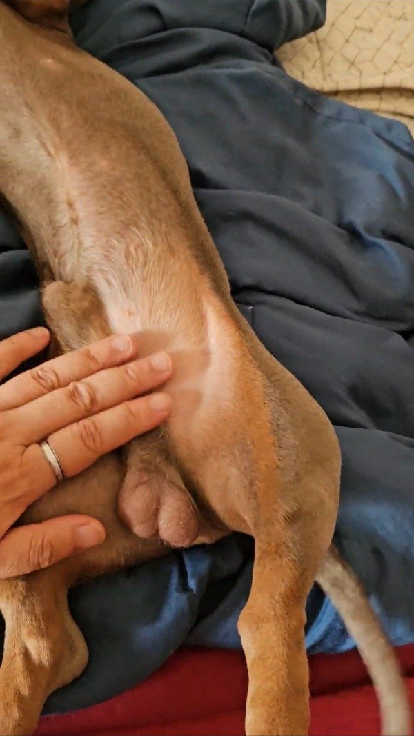 Producto - 001 Silver Beef Jerking (5.36 min)