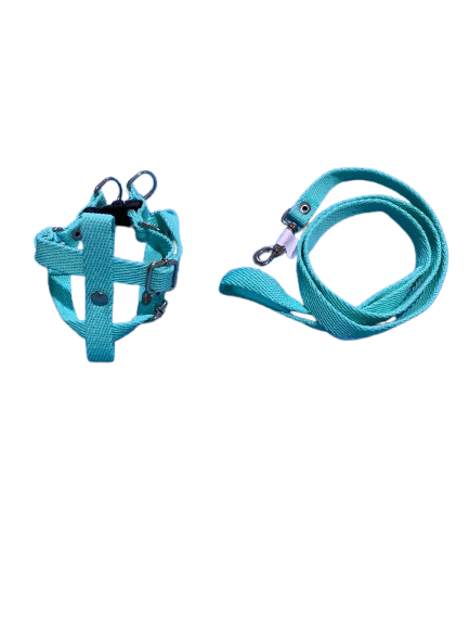 Producto - PRETAL REGULABLE MÁS CORREA Nro. 1