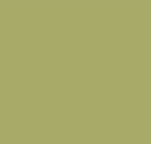 Producto - Verde musgo