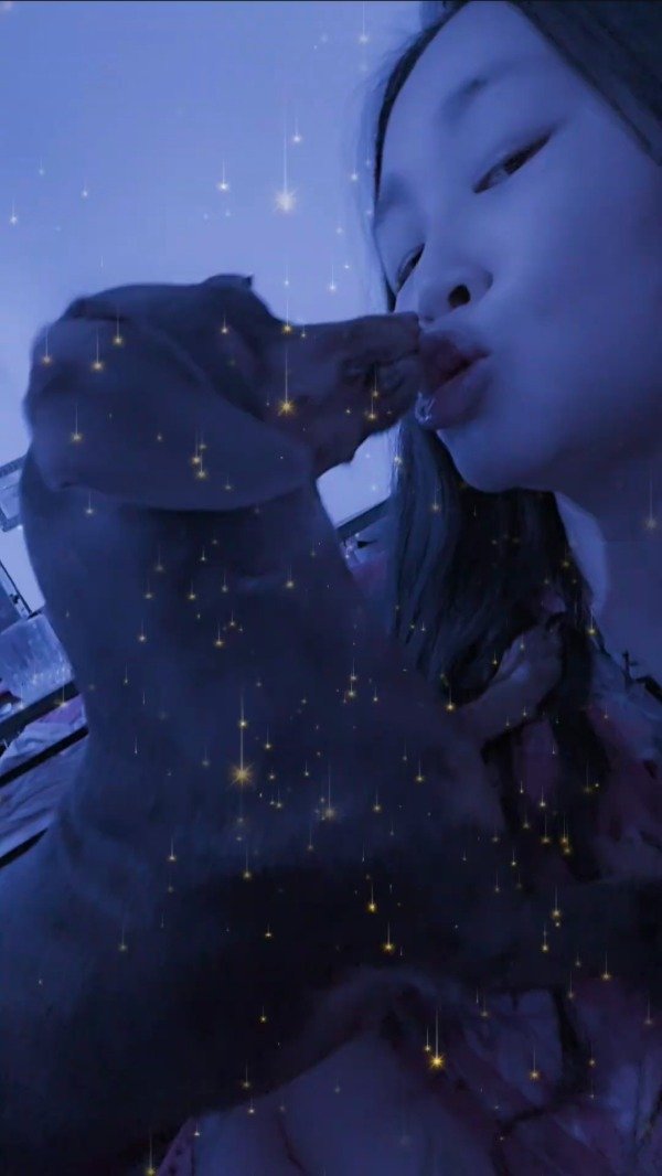 Producto - YT014 Blue dog Kiss (1.49 min)