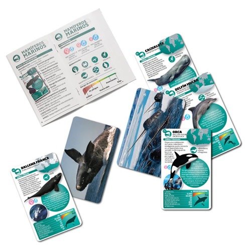 Miniatura de producto - 5