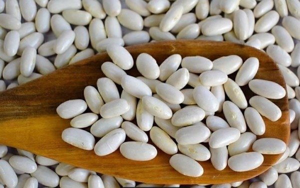 Producto - Poroto Alubia