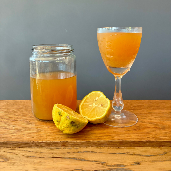 Producto - Kefir de Agua con Limón y Pasas de Uva