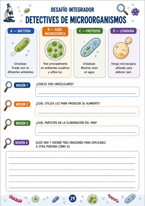 Producto - Vida de los Microorganismos - 17