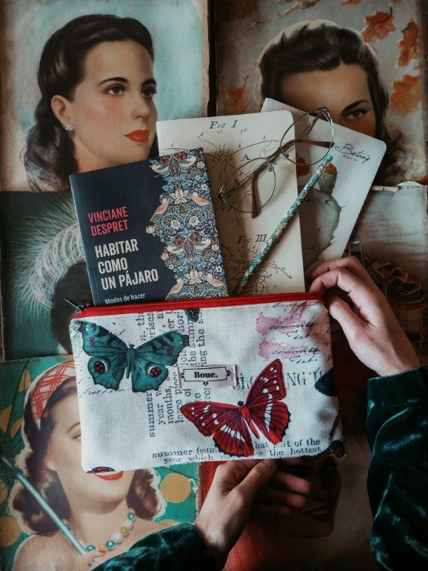 Producto - Sobre mariposas