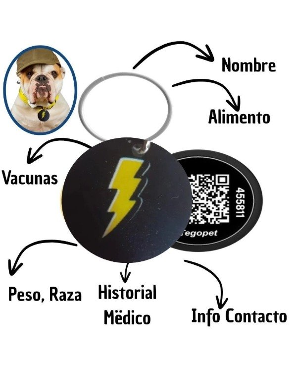 Producto - Chapita Identificatoria para Mascota con Código QR-Rayo