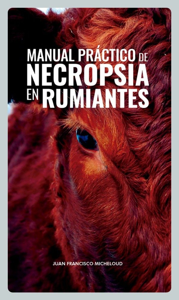 Producto - Micheloud: Manual Práctico de Necropsia en Rumiantes
