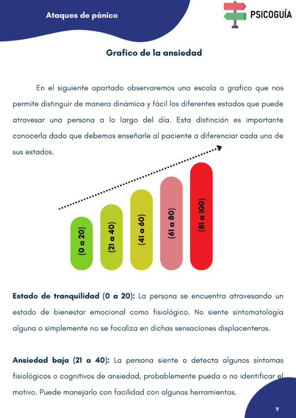 Producto - Ataques de pánico + Diario para el paciente - 3