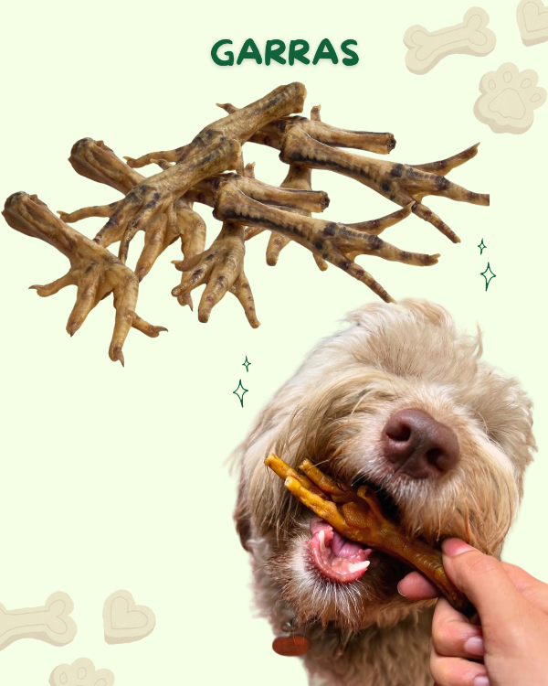 Producto - GARRAS DE POLLO - 0