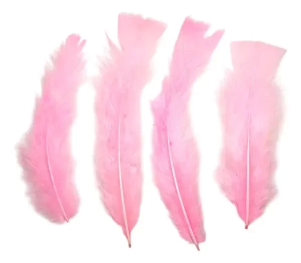 Producto - Plumas de gallo rosas