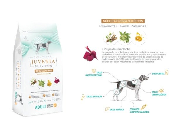Producto - Juvenia Adult Medium