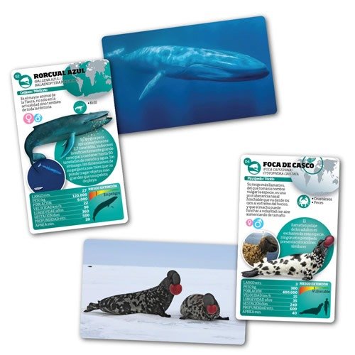 Miniatura de producto - 7