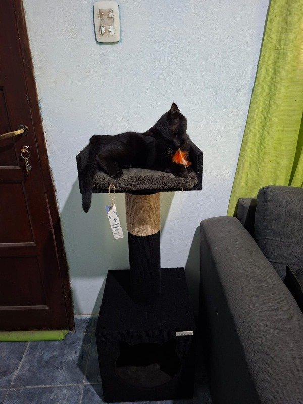 Miniatura de producto - 2