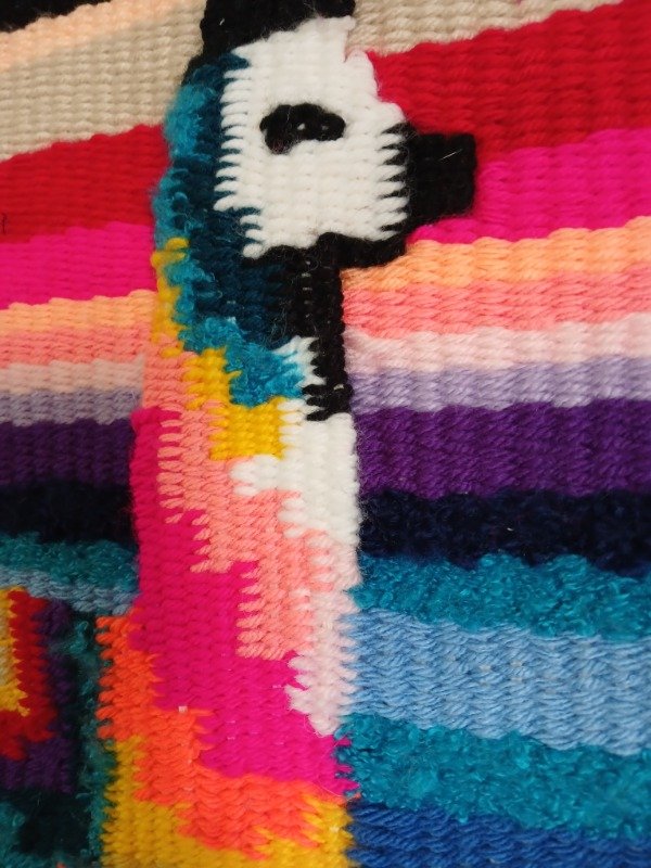 Producto - Tapiz de Pared- Llama multicolor - 4