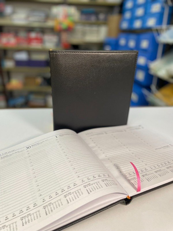 Producto - Agenda Semanal Encuadernada tipo piscis - "Arwen"