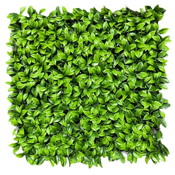 Producto - Jardin Vertical 50x50 Interior017