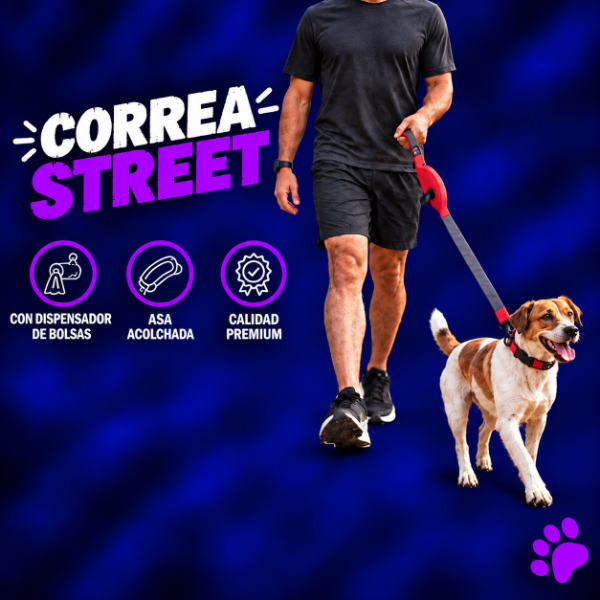 Producto - CORREA STREET - 1