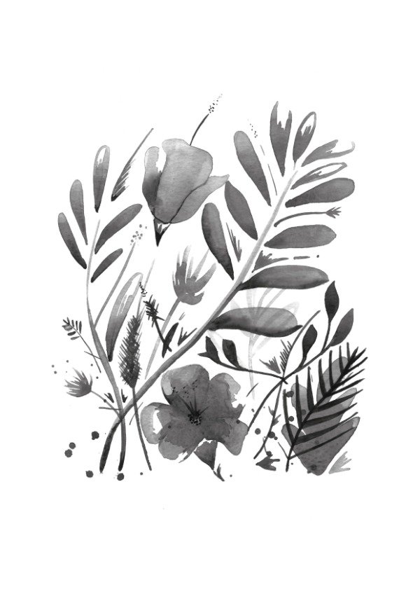 Producto - Ilustración Alocasia
