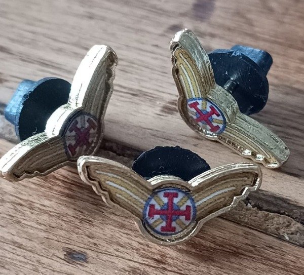 Producto - Pin Ala Raiders