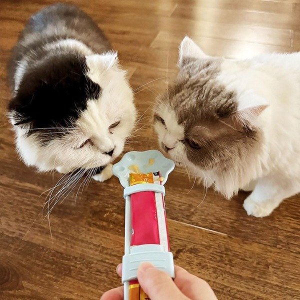 Producto - Cuchara Dispensadora