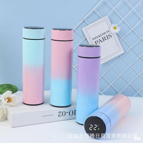 Producto - Termo con degrade - 500ml (Detalles)