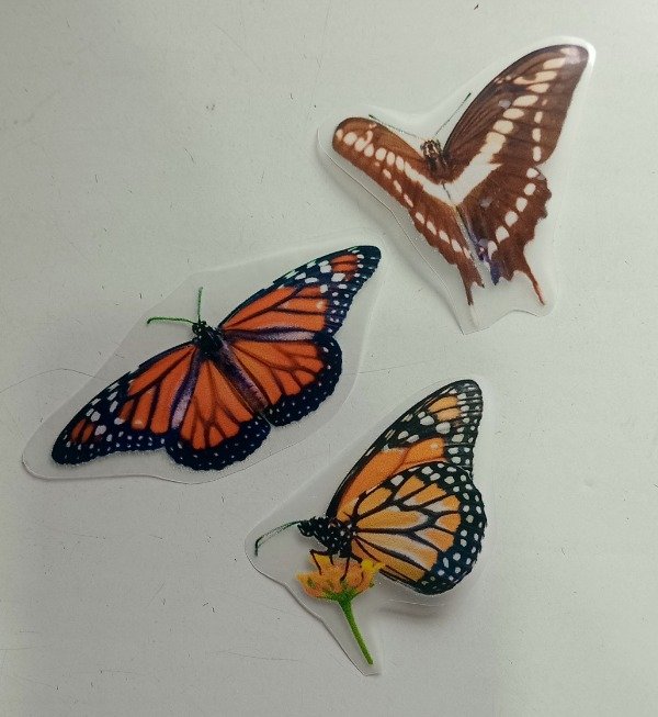 Producto - Apliques Termoadhesivos Mariposas