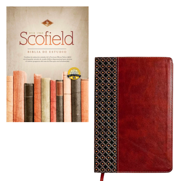 Producto - Biblia de Estudio Scofield Reina Valera 1960 Imitación Piel Verde/ Castaño
