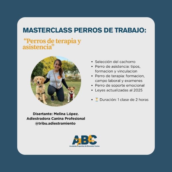 Producto - PERROS DE TRABAJO: Perros de terapia y asistencia