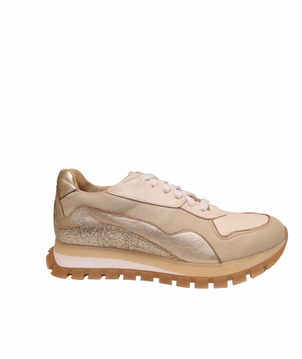 Producto - TB Rainbom