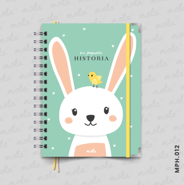 Producto - Libro de Recuerdos - MPH.012
