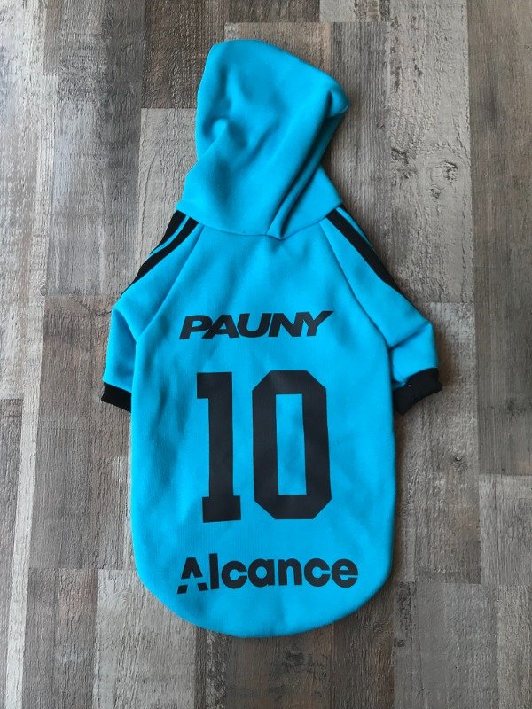 Producto - buzos futbol