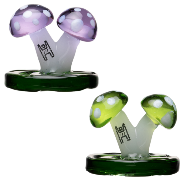 Producto - Mushroom Cap