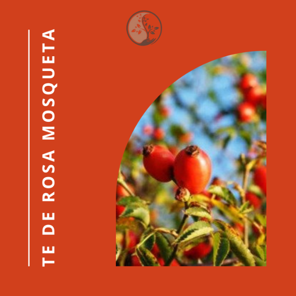 Producto - TE DE ROSA MOSQUETA