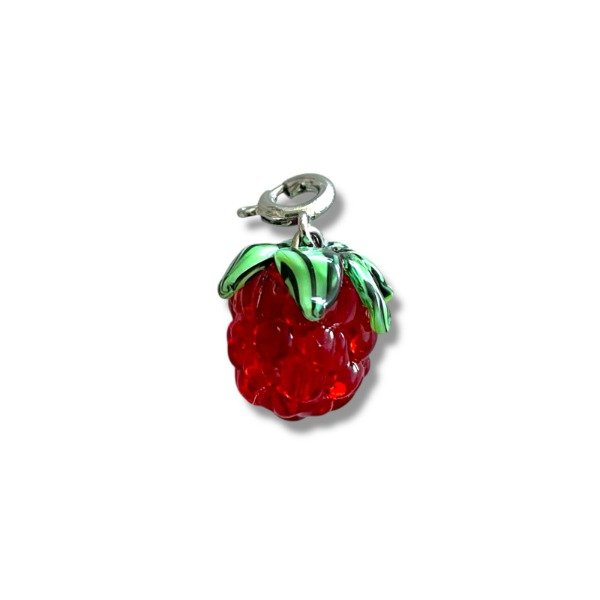 Producto - Charm Frambuesa