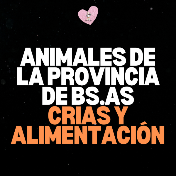 Producto - CRIAS Y ALIMENTACION