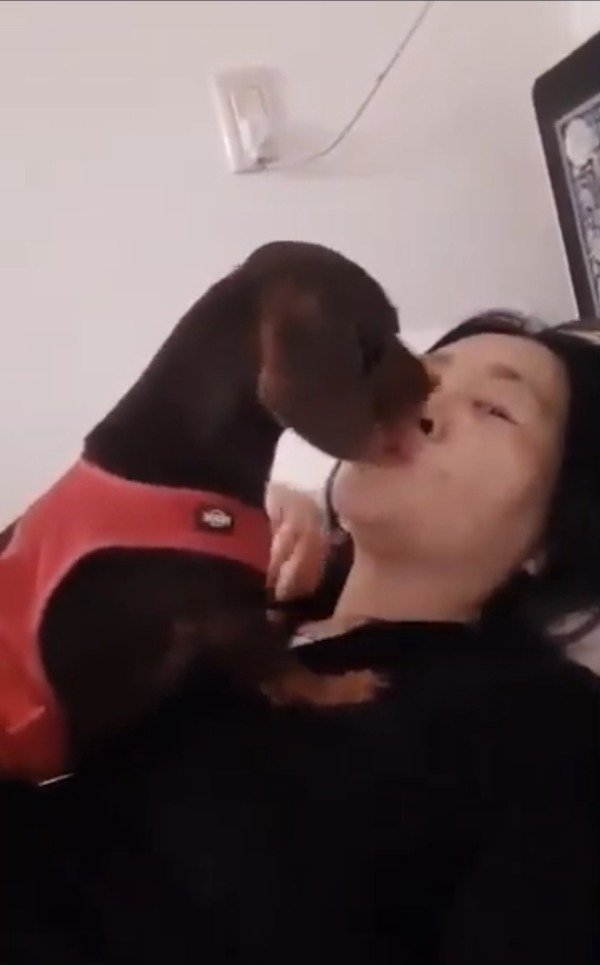 Producto - YT003 Blue dog Kiss (1.59 min)