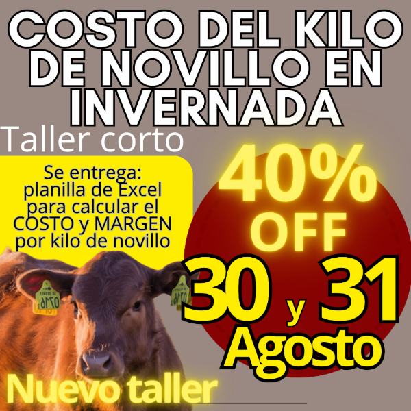 Producto - Taller corto: cálculo del costo del kilo de novillo - 0