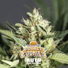 Producto - Double Cookies Auto x 2 - BSF