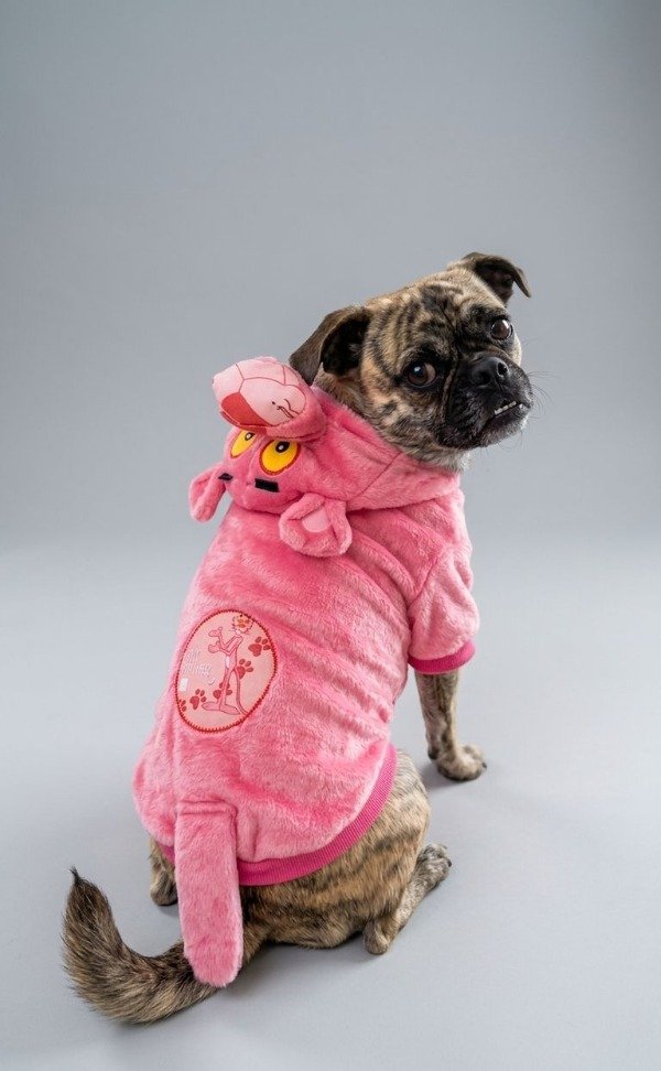 Producto - Buzo Pantera Rosa