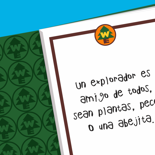 Miniatura de producto - 8
