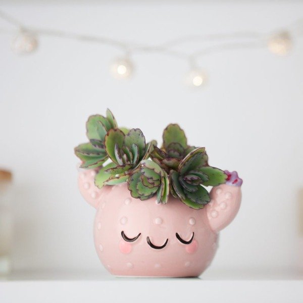 Producto - MACETA CACTUCITO BELLO - 2