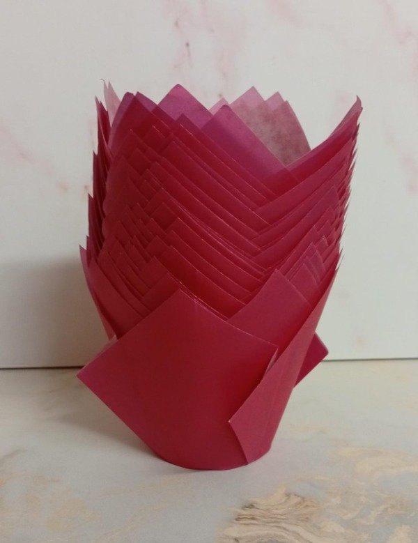 Producto - Tulipa fucsia
